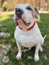 Load image into Gallery viewer, Strawberry Shortcake Bead Collar
