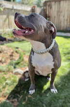 Load image into Gallery viewer, Times Square šŖ© Duplo Acrylic Bead Collar