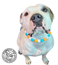 Load image into Gallery viewer, Tropicana Acrylic Bead Collar