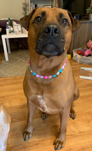 Load image into Gallery viewer, Unicorn Glam 🦄 Bead Collar