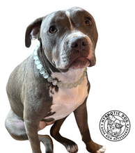 Load image into Gallery viewer, White Cat's Eye Gemstone Bead Collar