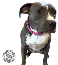 Load image into Gallery viewer, XS Hot Pink Clouds Bead Collar
