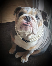Load image into Gallery viewer, Duplo Mini White Pearl Acrylic Bead Collar