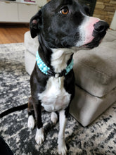 Load image into Gallery viewer, Sky Blue Rain Triplo Acrylic Bead Collar