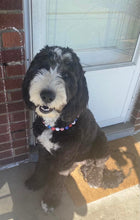 Load image into Gallery viewer, Americana Glam Bead Collar