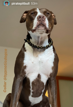 Load image into Gallery viewer, Tortoiseshell Ceramic Bead Collar