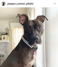 Load image into Gallery viewer, Duplo Mini White Pearl Acrylic Bead Collar