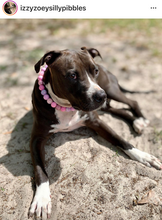 Load image into Gallery viewer, Pink Sugar Bead Collar