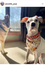 Load image into Gallery viewer, Orange Speckle Ceramic Bead Collar