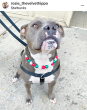 Load image into Gallery viewer, Holly Jolly Christmas Bead Collar