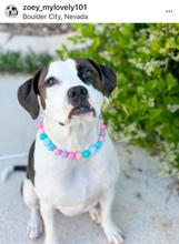 Load image into Gallery viewer, Unicorn Glam 🦄 Bead Collar