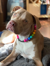 Load image into Gallery viewer, Rainbow š Acrylic Bead Collar