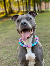 Load image into Gallery viewer, Unicorn Glam 🦄 Bead Collar