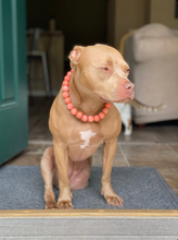 Load image into Gallery viewer, Orange Speckle Ceramic Bead Collar