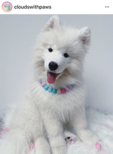 Load image into Gallery viewer, Unicorn Glam 🦄 Bead Collar