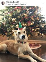 Load image into Gallery viewer, Holly Jolly Christmas Bead Collar