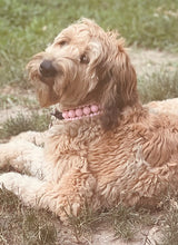 Load image into Gallery viewer, Blush Pink Rain Triplo Acrylic Bead Collar