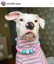 Load image into Gallery viewer, Unicorn Glam 🦄 Bead Collar