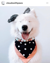 Load image into Gallery viewer, Sugar & Spice Bead Collar