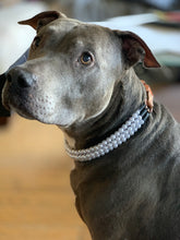 Load image into Gallery viewer, XS White Pearl Triplo Acrylic Bead Collar