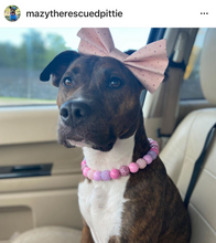 Load image into Gallery viewer, Pink Sugar Bead Collar