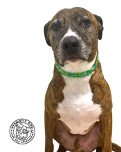 Load image into Gallery viewer, Breezy Mermaid Crackle Duplo XS Acrylic Bead Collar