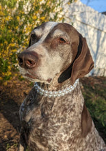 Load image into Gallery viewer, Duplo Mini White Pearl Acrylic Bead Collar
