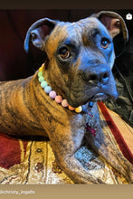 Load image into Gallery viewer, Pastel Rainbow Acrylic Bead Collar