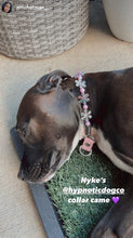 Load image into Gallery viewer, Pink & Purple Crystal Flowers 🌸 Acrylic Bead Collar