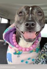 Load image into Gallery viewer, Pink Clouds Acrylic Bead Collar