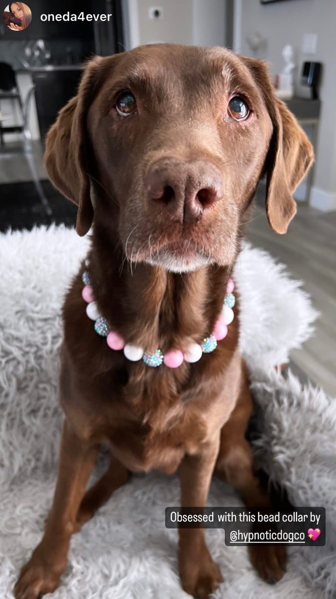 Pink Sugar Bead Collar – Hypnotic Dog