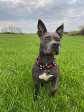 Load image into Gallery viewer, Red & Black Skull Bead Collar
