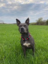 Load image into Gallery viewer, Red & Black Skull Bead Collar