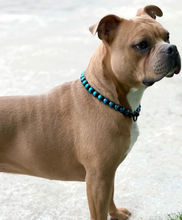 Load image into Gallery viewer, Blue Spark Bead Collar