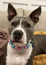 Load image into Gallery viewer, Unicorn Glam 🦄 Bead Collar