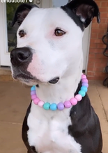 Load image into Gallery viewer, Bubblegum Acrylic Bead Collar