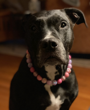 Load image into Gallery viewer, Pink Sugar Bead Collar