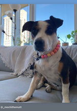 Load image into Gallery viewer, Sweet Tart Acrylic Bead Collar