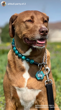 Load image into Gallery viewer, Teal Swirl Acrylic Bead Collar