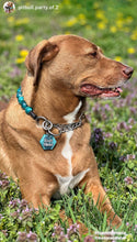 Load image into Gallery viewer, Teal Swirl Acrylic Bead Collar