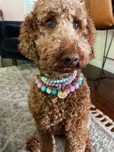 Load image into Gallery viewer, Unicorn Glam 🦄 Bead Collar