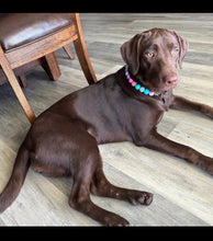 Load image into Gallery viewer, Unicorn Glam 🦄 Bead Collar