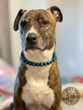 Load image into Gallery viewer, Blue Spark Bead Collar