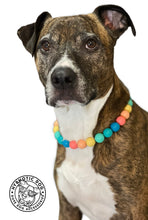 Load image into Gallery viewer, Rainbow Surf Acrylic Bead Collar