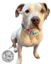 Load image into Gallery viewer, Bubblegum Acrylic Bead Collar