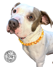Load image into Gallery viewer, Caramel Resin Bead Collar