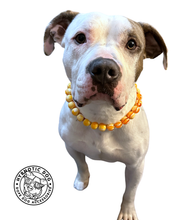 Load image into Gallery viewer, Caramel Resin Bead Collar