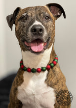 Load image into Gallery viewer, Christmas Frost Bead Collar