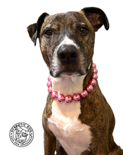 Load image into Gallery viewer, Chunky Rose Pink Pearls Acrylic Bead Collar