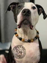 Load image into Gallery viewer, Conqueror Bead Collar